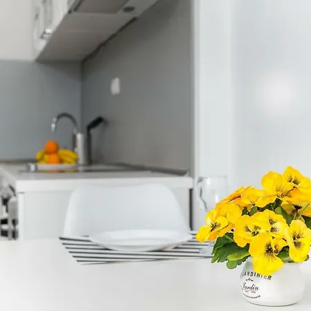 Apartment Nikola *